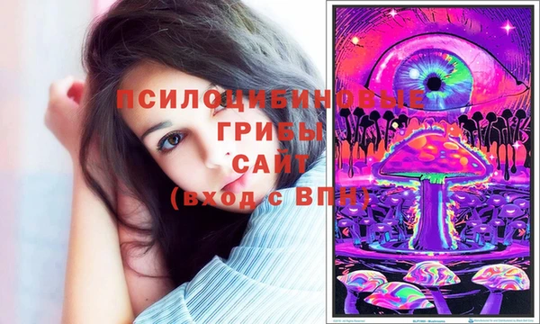 тгк Богданович